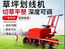 點(diǎn)擊查看詳細(xì)信息<br>標(biāo)題：草皮劃線機(jī) 閱讀次數(shù)：1702